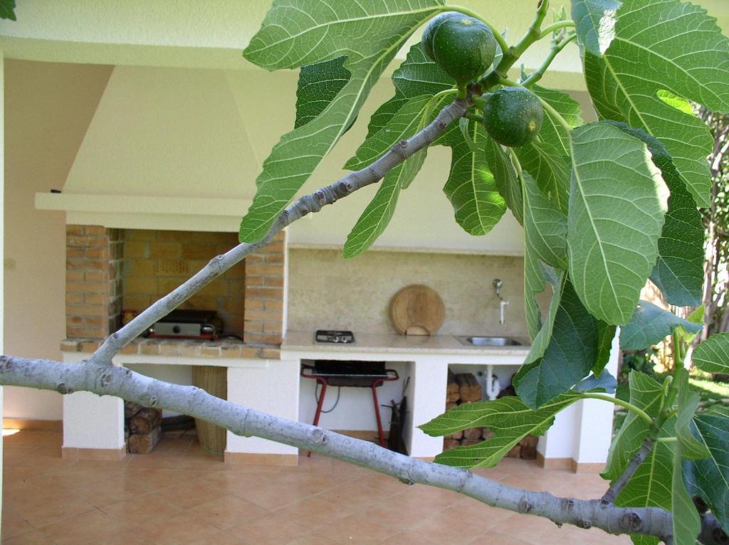 Apartments Paloma Blanca Medulin Extérieur photo