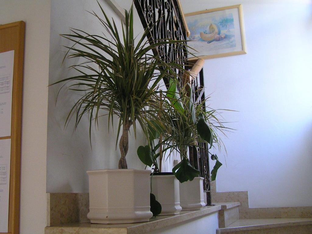 Apartments Paloma Blanca Medulin Chambre photo