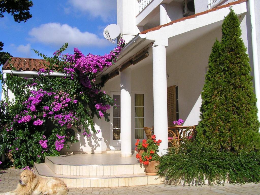 Apartments Paloma Blanca Medulin Chambre photo